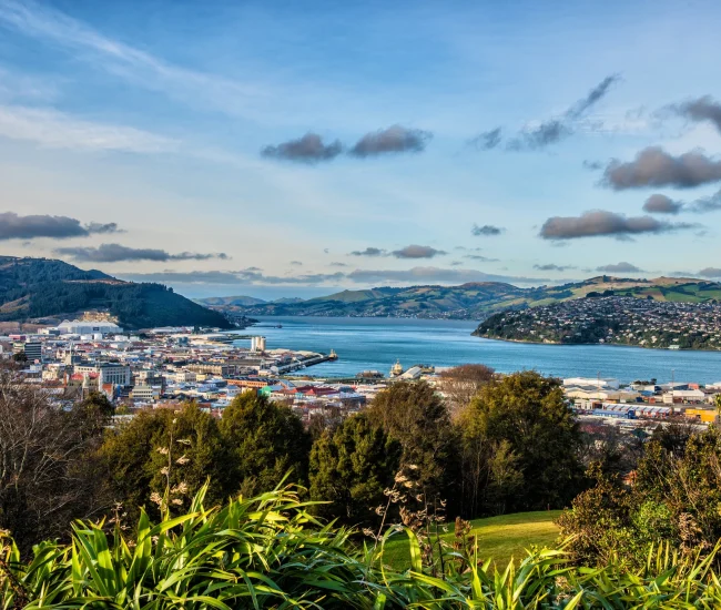 Dunedin